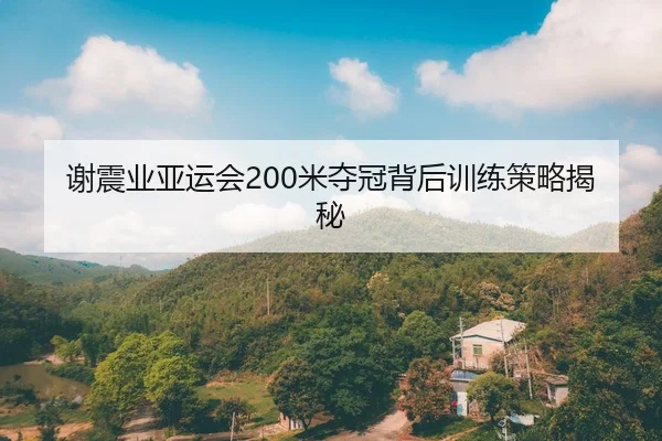 谢震业亚运会200米夺冠背后训练策略揭秘 | kaiyun